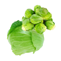 Brassica oleracea convar. capitat/gemmiferaa/